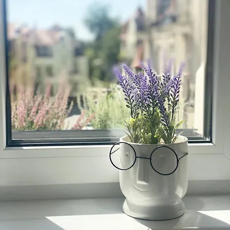 31-vezuvio - Deerrest *